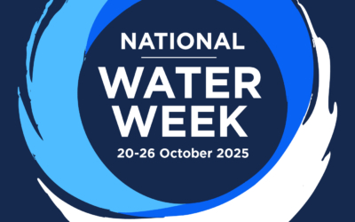 Bringing Water into Focus